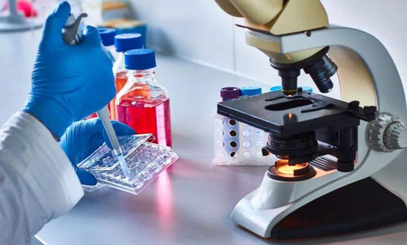 七种新物质将加入欧盟SVHC清单